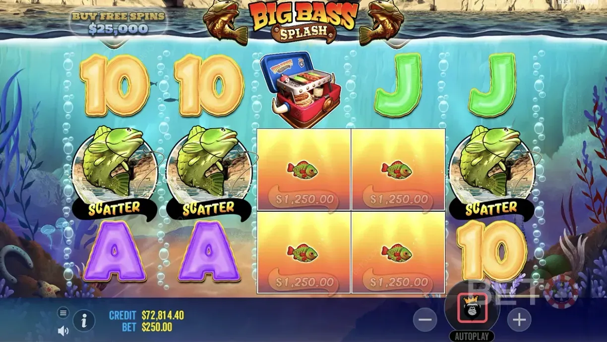 Big bass splash5